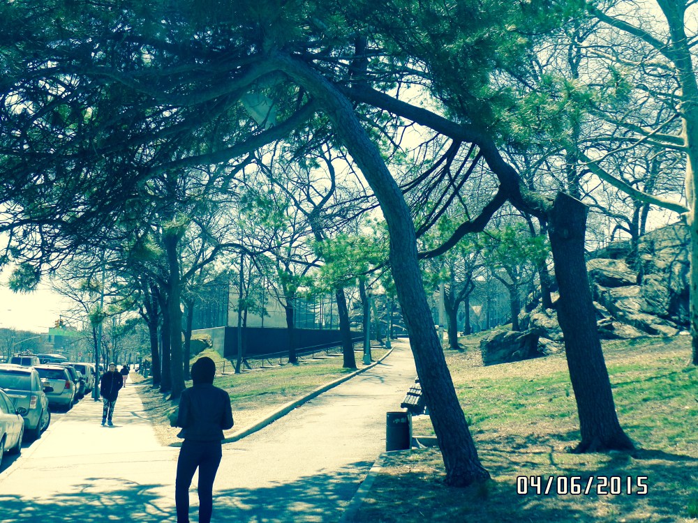 SAMSUNG CAMERA PICTURES