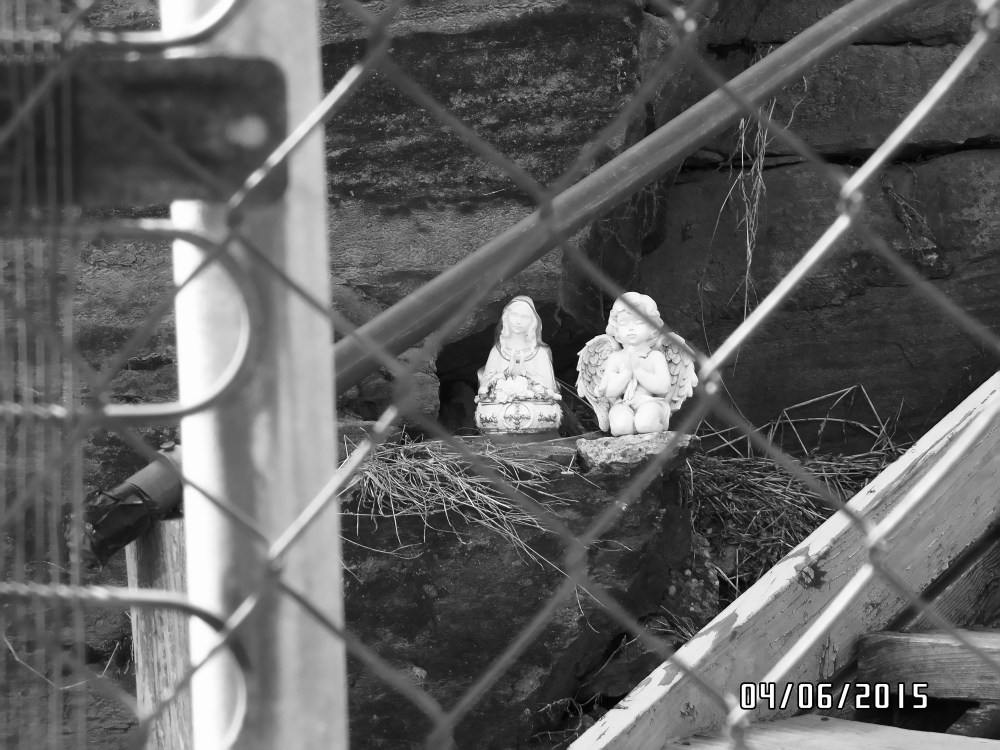 SAMSUNG CAMERA PICTURES