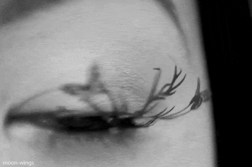 eyelashes