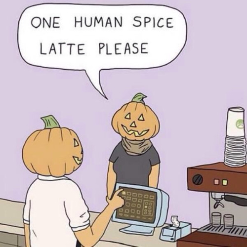 pumpkin spice